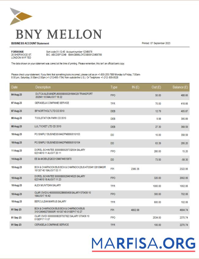 Realistic BNY Mellon Bank company checking account statement Word and PDF template
